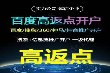 SEO与SEM融合策略：成功案例解析